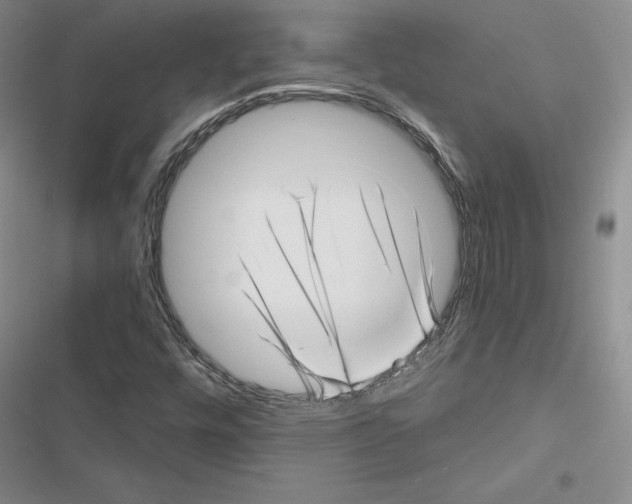 X0000116811448201001151134