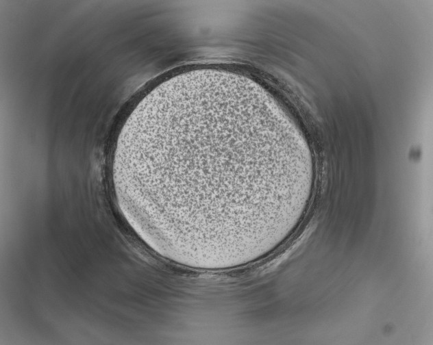 X0000116811449201001151134