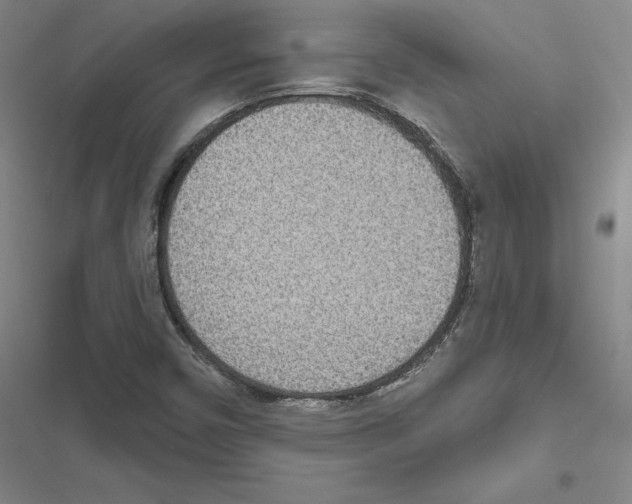 X0000116811450201001151134