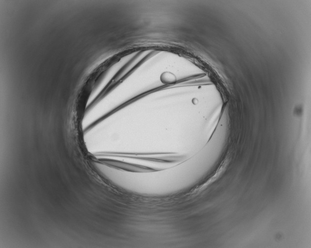 X0000116811453201001151134