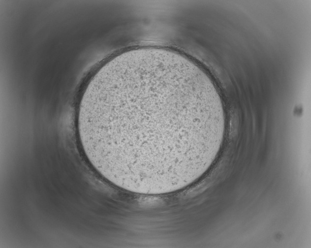X0000116811454201001151134