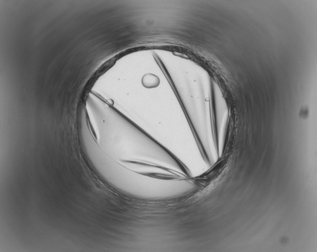 X0000116811457201001151134