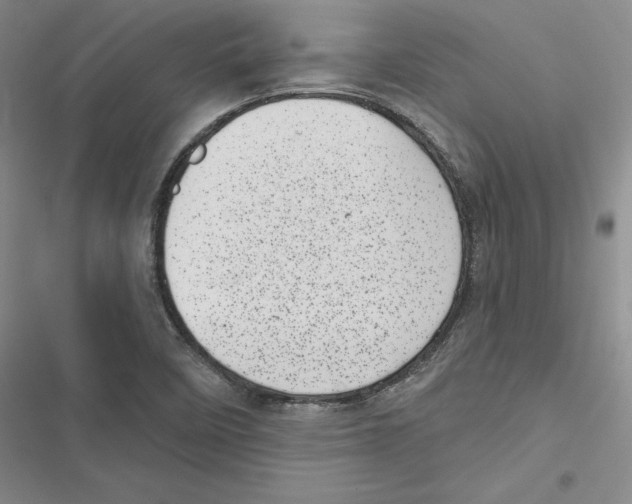 X0000116811458201001151134
