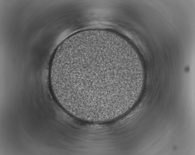 X0000116811459201001151134