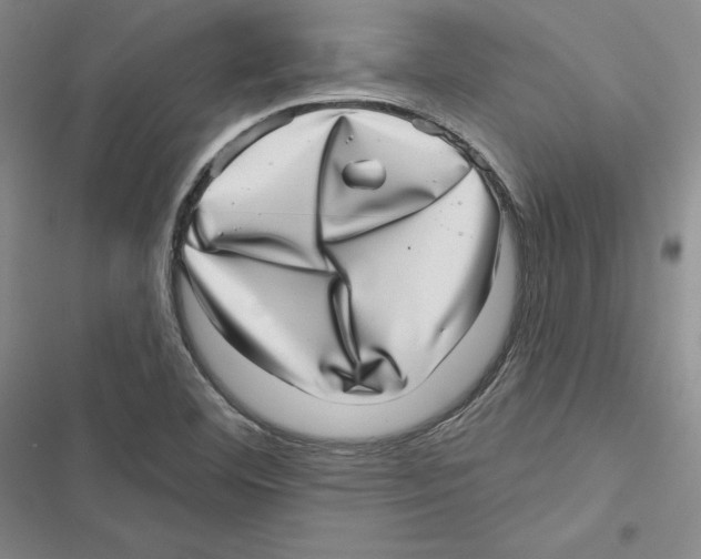 X0000116811460201001151133