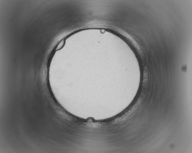 X0000116811461201001151133