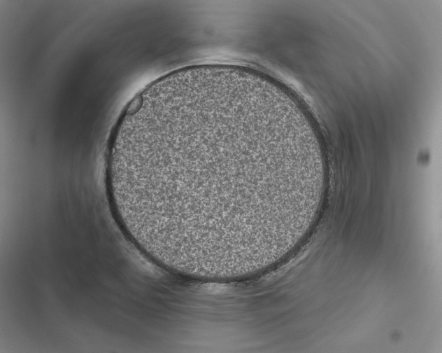 X0000116811463201001151133