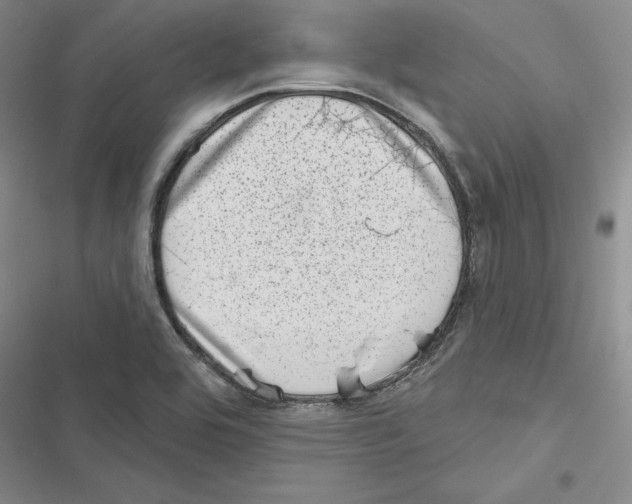 X0000116811464201001151133
