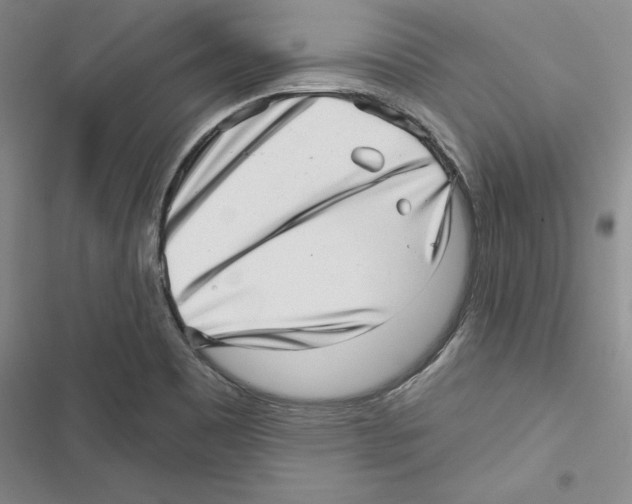 X0000116811465201001151133