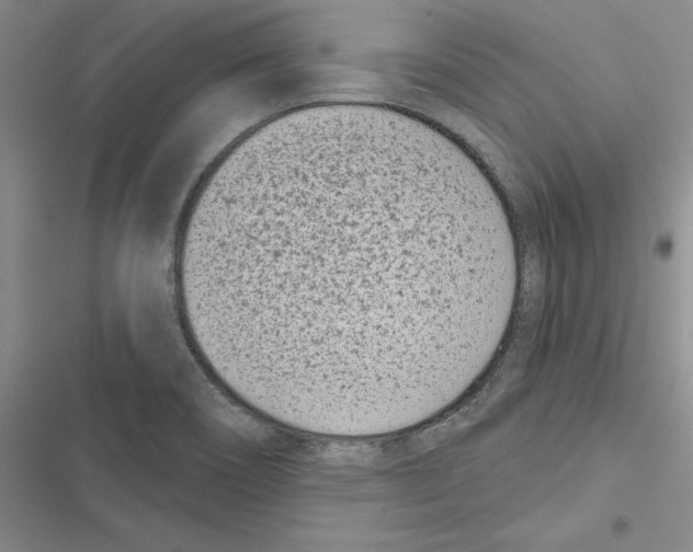 X0000116811466201001151133