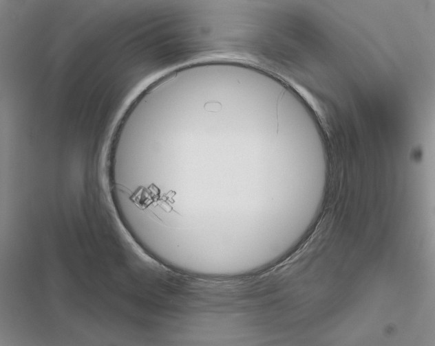 X0000116811468201001151133