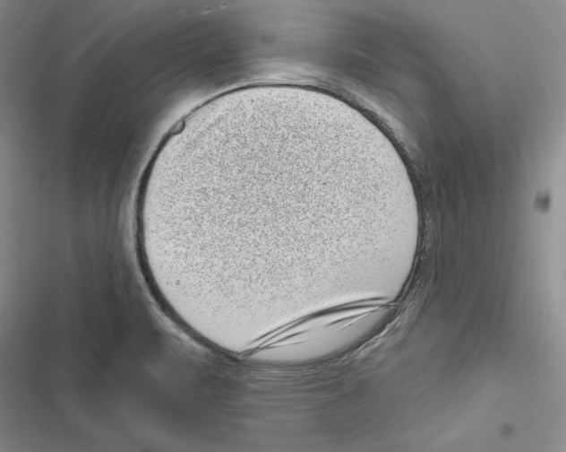 X0000116811471201001151133