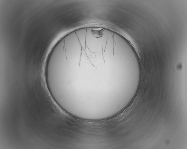 X0000116811472201001151133