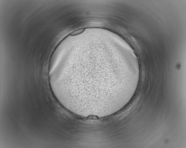 X0000116811473201001151133