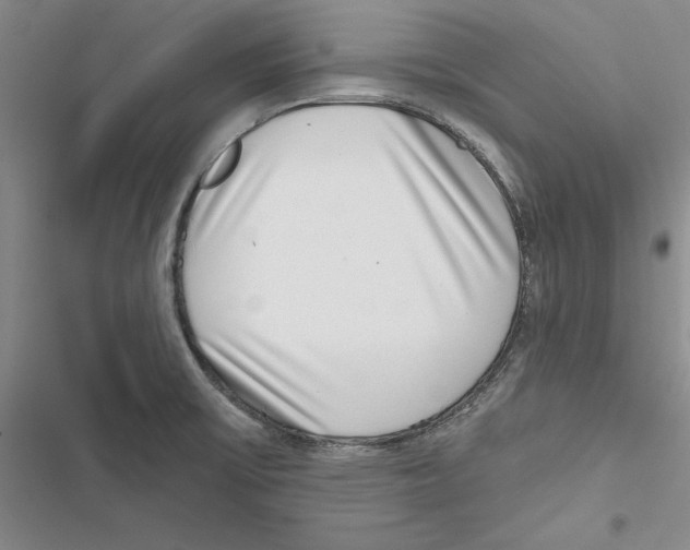 X0000116811475201001151133