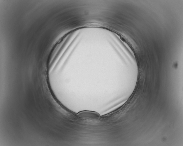 X0000116811476201001151133