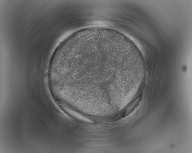 X0000116811477201001151133