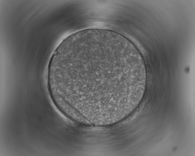X0000116811479201001151133