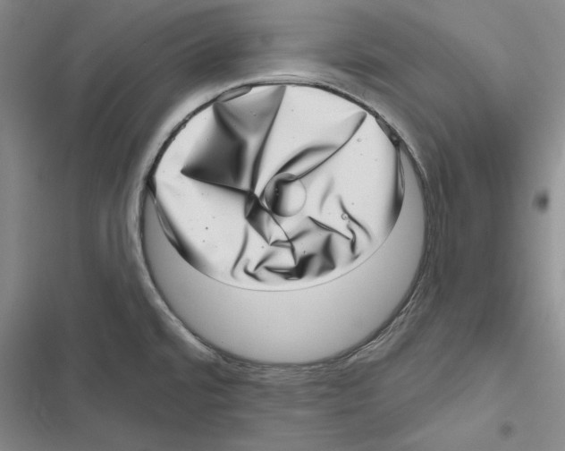 X0000116811480201001151133