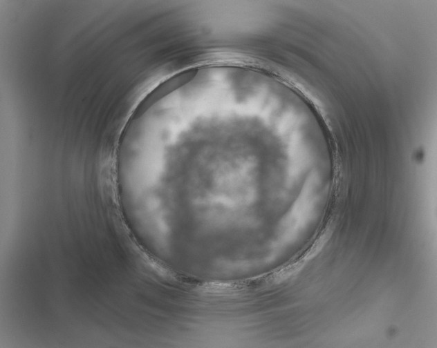 X0000116811481201001151133