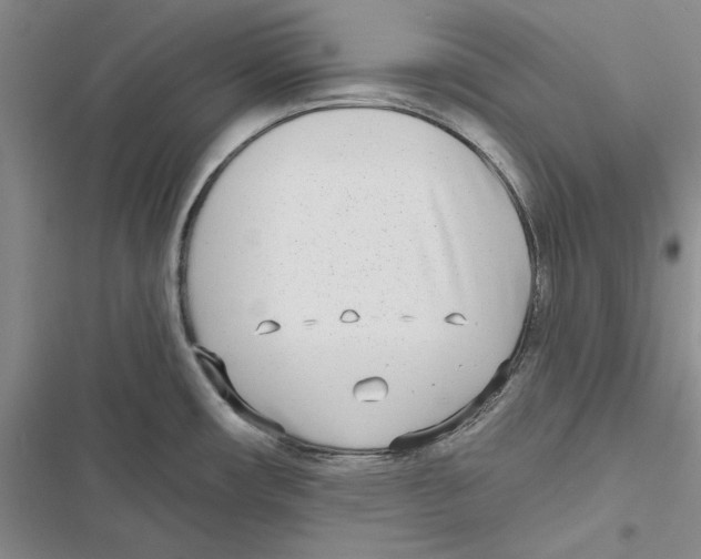 X0000116811482201001151133