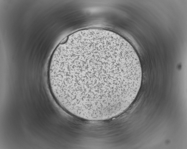 X0000116811483201001151133