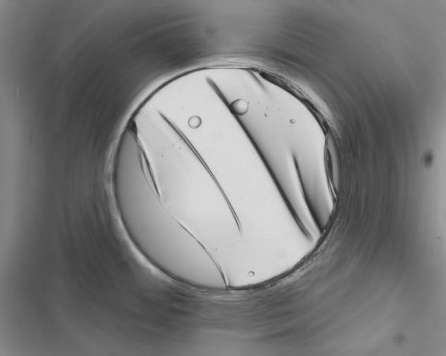 X0000116811484201001151133