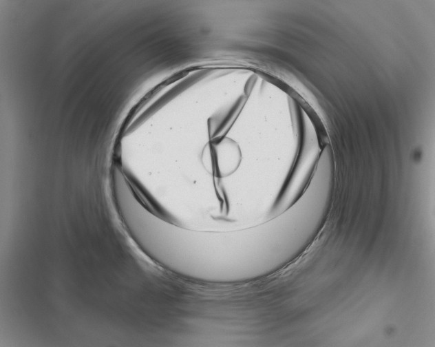 X0000116811485201001151133