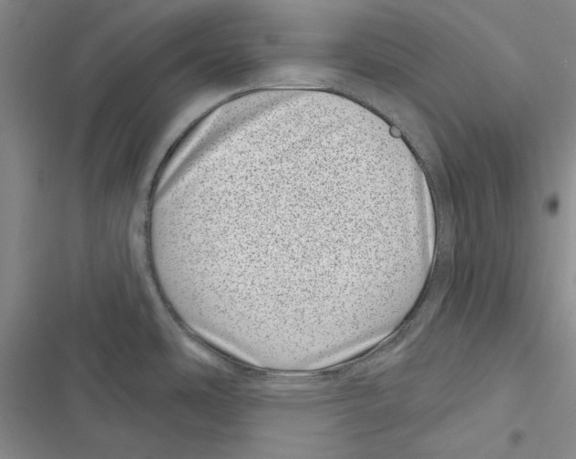 X0000116811486201001151133