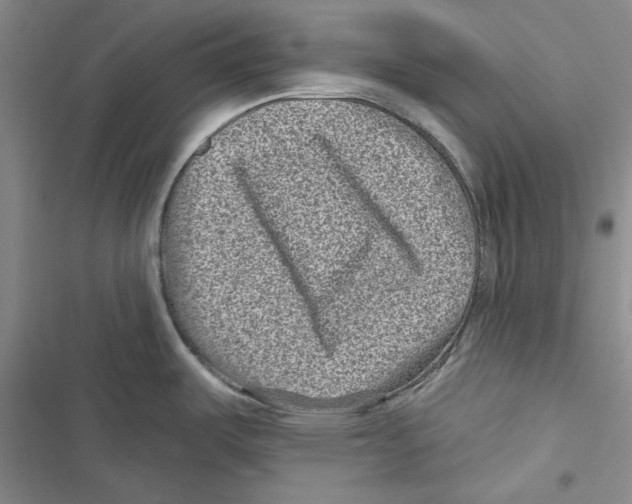 X0000116811487201001151133