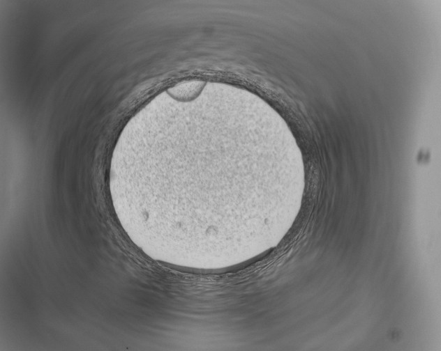 X0000116811489201001151132