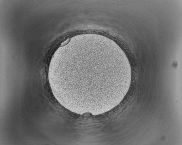X0000116811493201001151133