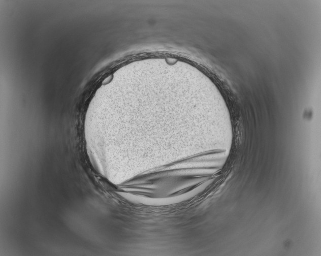 X0000116811494201001151133