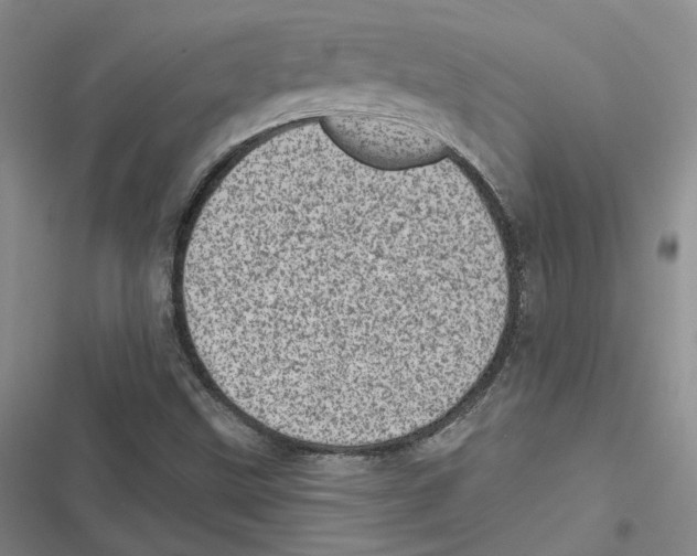 X0000116811499201001151133