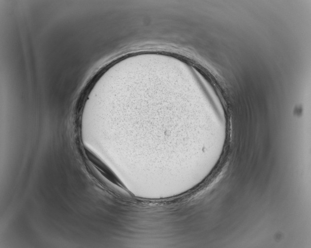 X0000116811501201001151133