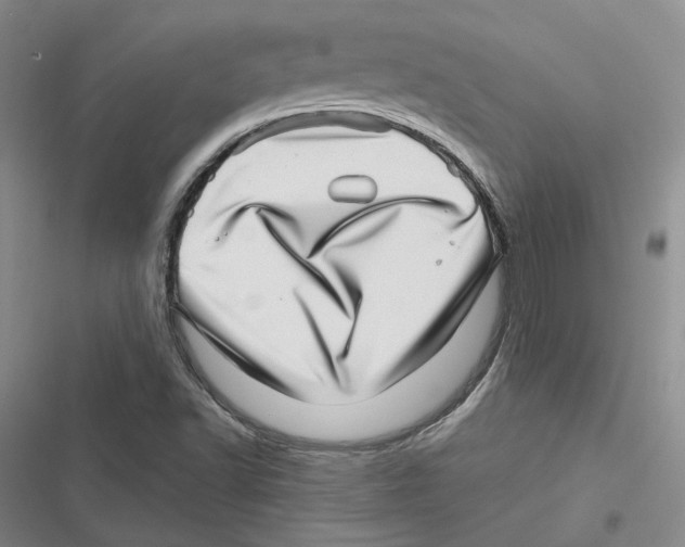 X0000116811502201001151133