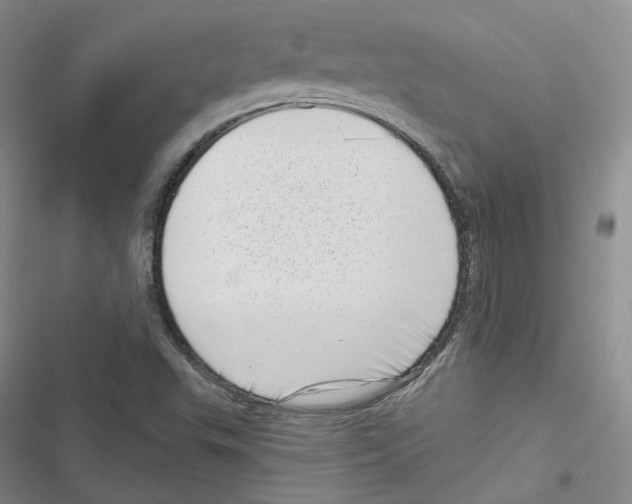 X0000116811503201001151133