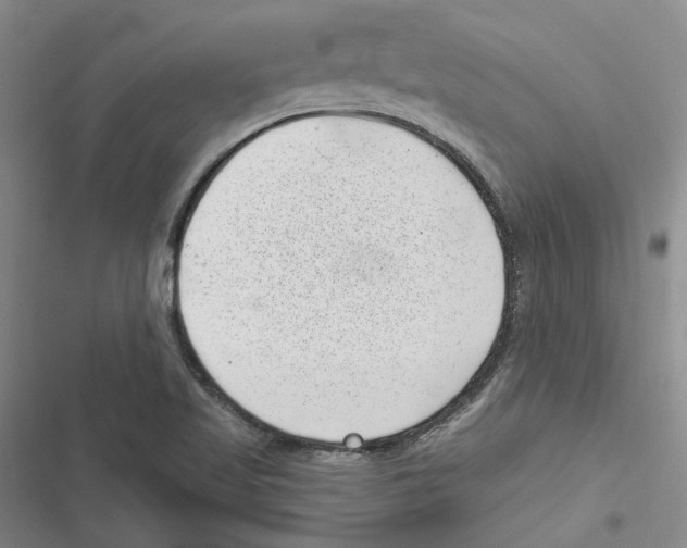 X0000116811509201001151133
