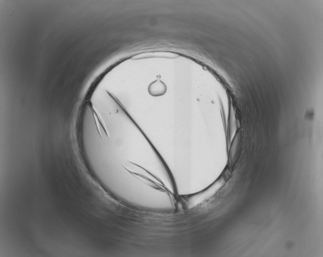 X0000116811510201001151133