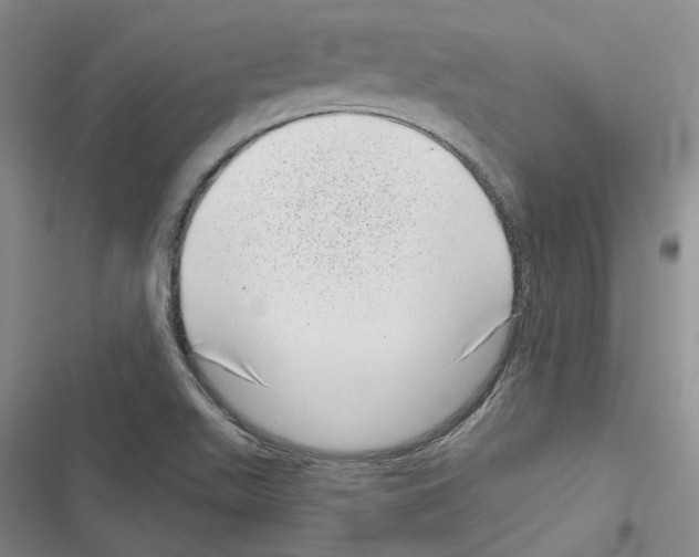 X0000116811511201001151133