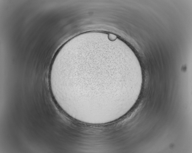 X0000116811513201001151133