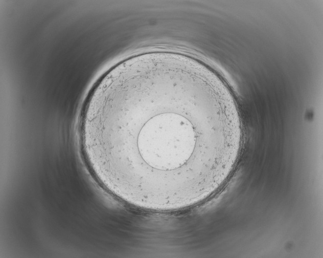 X0000116811514201001151133