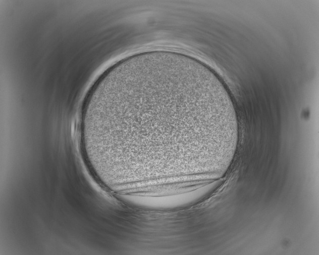 X0000116811515201001151133