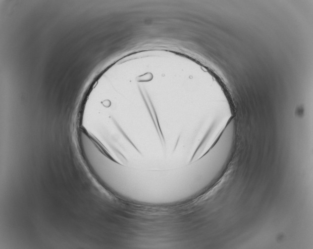 X0000116811517201001151133