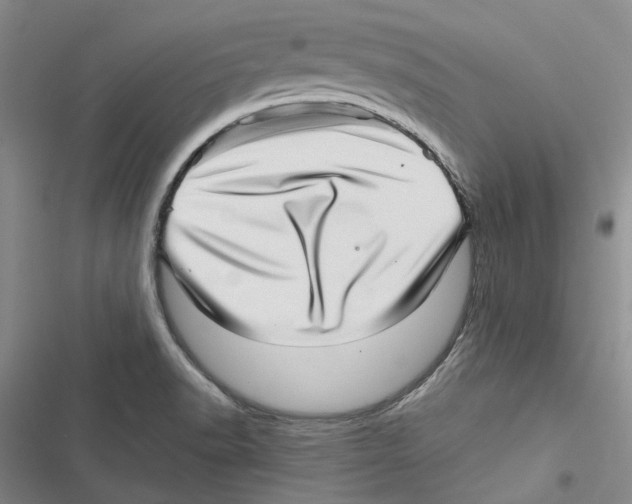 X0000116811518201001151133