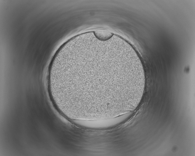 X0000116811519201001151133