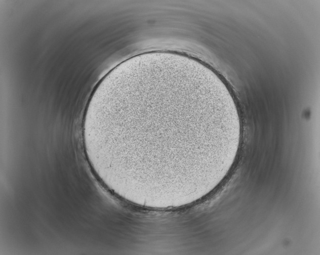 X0000116811521201001151133