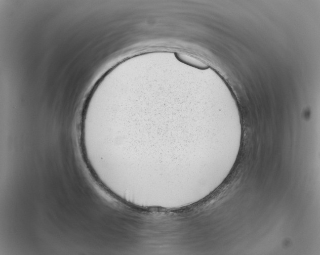 X0000116811523201001151133