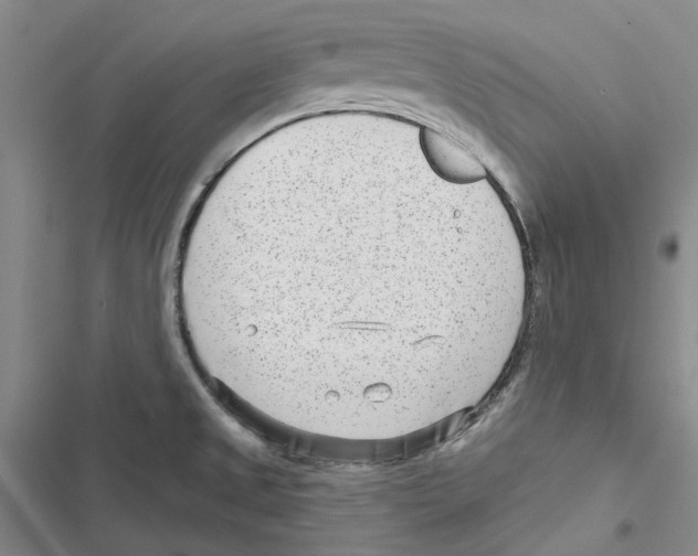 X0000116811525201001151133