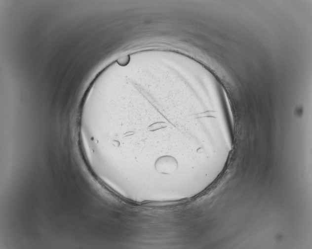 X0000116811526201001151133